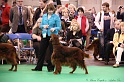 Crufts2011 686